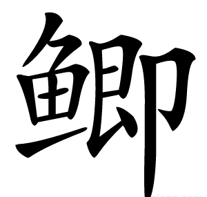 鲫